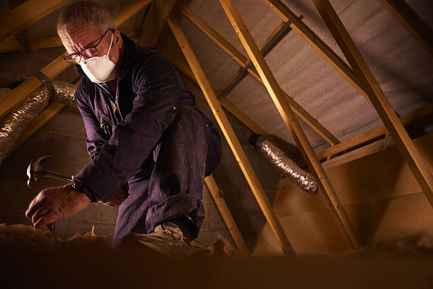 Best DIY Insulation Kits and Guidance in Manahawkin, NJ
