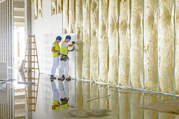 Best Energy Efficiency Insulation in Manahawkin, NJ